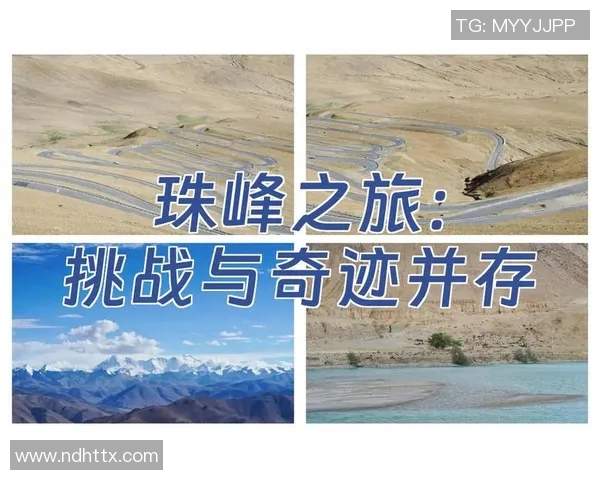 深度对话赵丽探索足球世界的梦想与挑战之旅